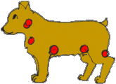 Lymphoma signs in dogs