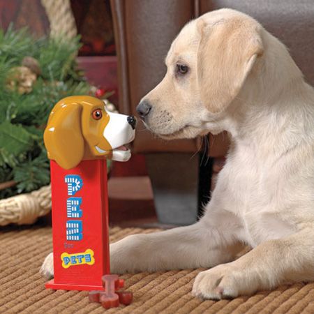 7. Pez dog treat dispenser