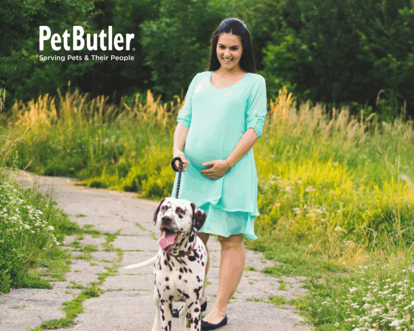 Pregnant woman wearing a teal dress walking her dog along a trail, holding her belly.