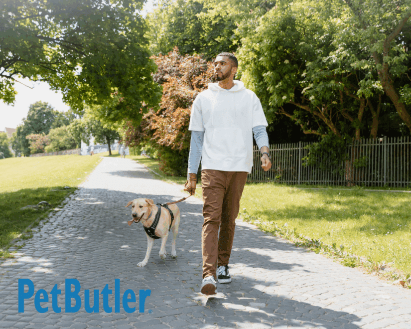 Man walking a dog in a park.