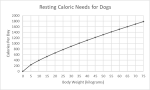 Resting Caloric Needs for Dogs