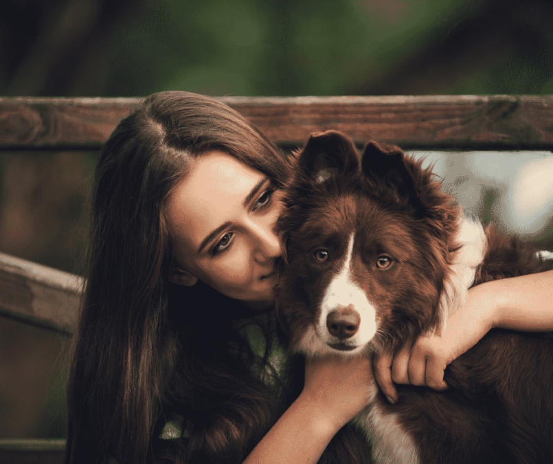 woman hugging a brown and white Border Collie dog