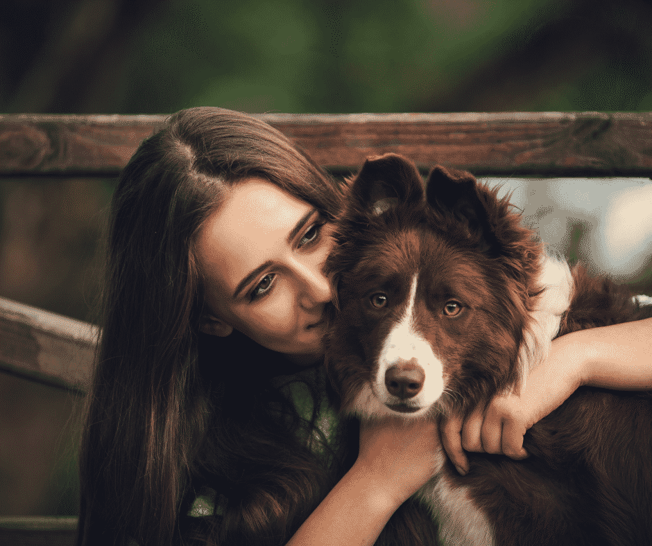 woman hugging a brown and white Border Collie dog