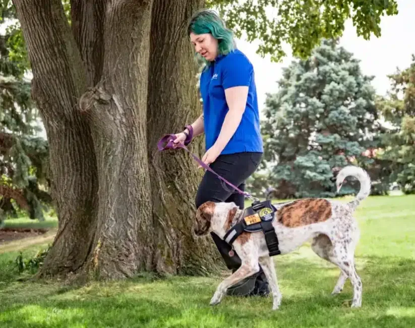 Pet Butler Smyrna GA local employee walking a service dog across a green lawn on a sunny day. Dog Walking - Pet Care Services - Dog Walker - Pet Sitting - Pet Sitter