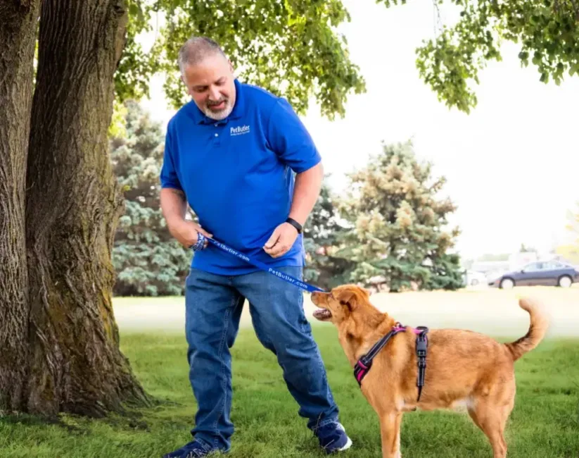 Cary NC Pet Butler owner Michael Kidd walking a dog across the grass on a sunny day.